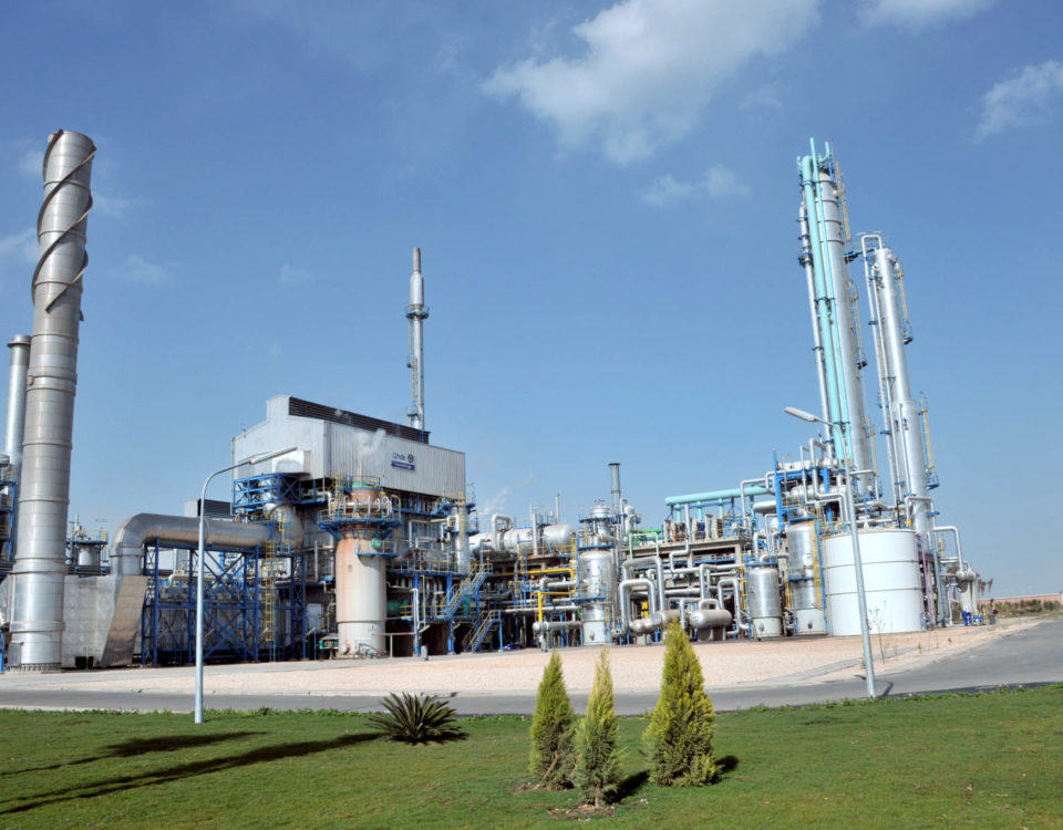 Marine Facilities – Urea Ammonia Damietta